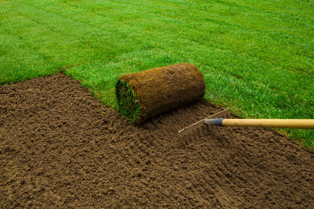 Een gazon aanleggen met graszoden